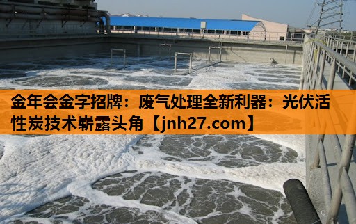 废气处理全新利器：光伏活性炭技术崭露头角